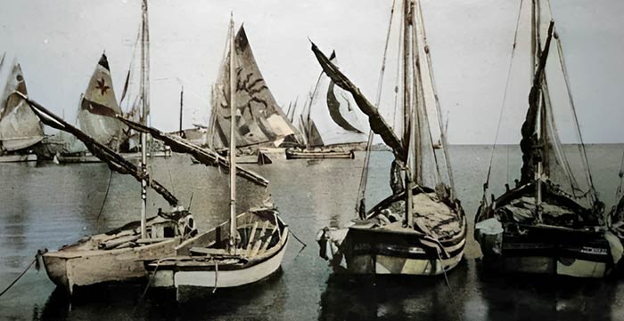 Paranza, nata per lo strascico