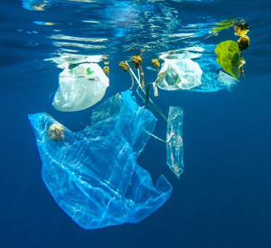 Veleggiata a Palermo
contro la plastica