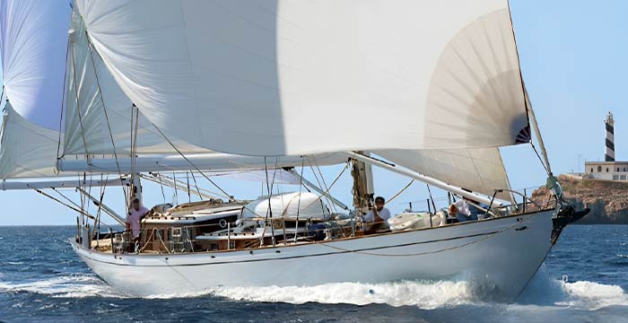 "Sea Lion", bella scoperta