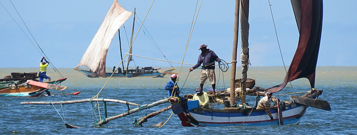 Canoe, figlie di catamarani