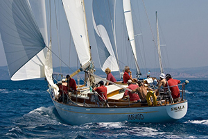 Raduno Sangermani
nel Marina di Varazze
